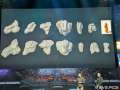 Fanfest_2026_377